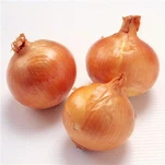 Fresh Orgnic 20kg Pembungkusan Bawang Kuning