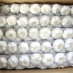 Jalinan Bawang Putih Segar Kulit Putih