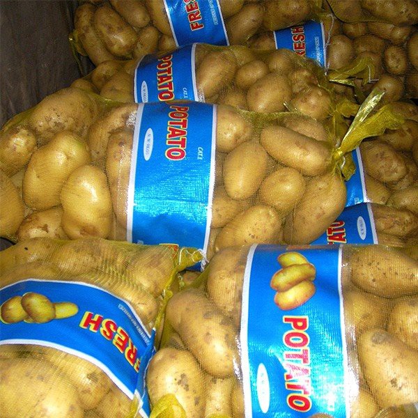 src=http___sc02.alicdn.com_kf_HTB1HTsXOFzqK1RjSZFvq6AB7VXae_big-size-high-quality-potato.jpg&refer=http___sc02.alicdn