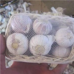 Bawang Putih Solo Segar dalam Stok