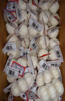 Penyelidikan Mengenai Kesan Perdagangan Import Bawang Putih China Terhadap Pa...